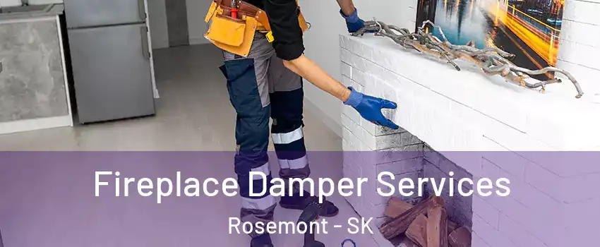  Fireplace Damper Services Rosemont - SK
