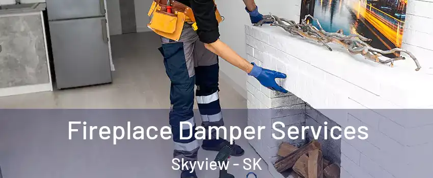  Fireplace Damper Services Skyview - SK