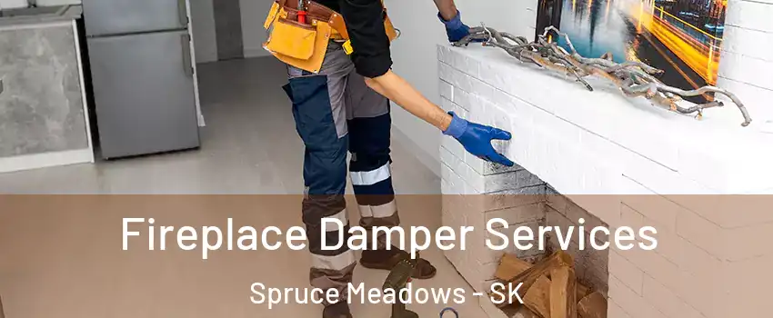Fireplace Damper Services Spruce Meadows - SK