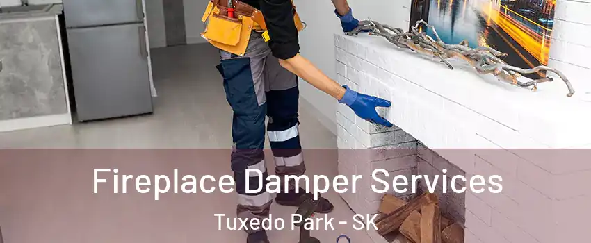 Fireplace Damper Services Tuxedo Park - SK