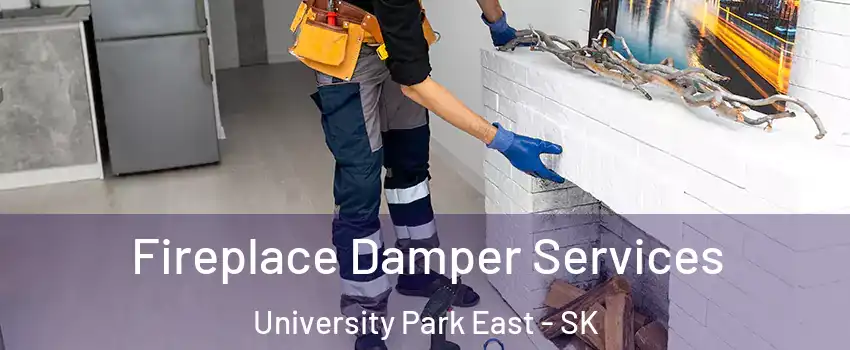 Fireplace Damper Services University Park East - SK