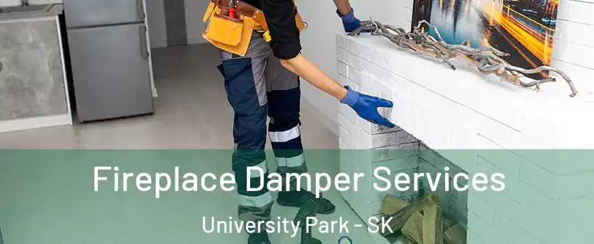 Fireplace Damper Services University Park - SK