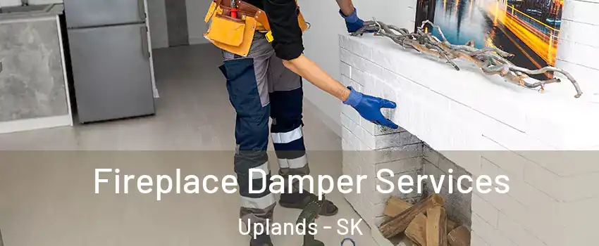  Fireplace Damper Services Uplands - SK