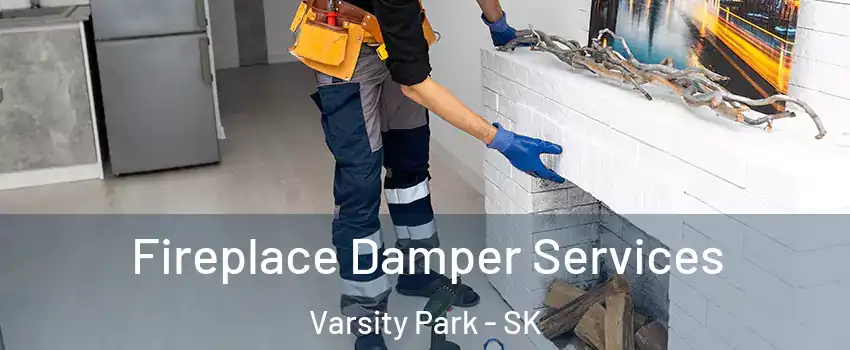 Fireplace Damper Services Varsity Park - SK