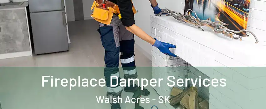Fireplace Damper Services Walsh Acres - SK