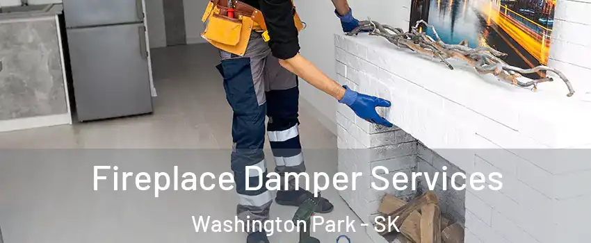 Fireplace Damper Services Washington Park - SK