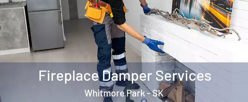 Fireplace Damper Services Whitmore Park - SK