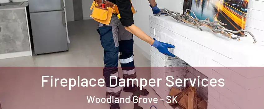 Fireplace Damper Services Woodland Grove - SK