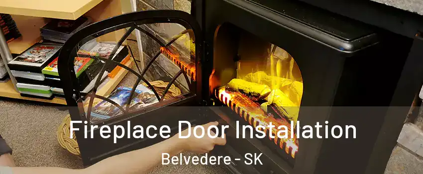  Fireplace Door Installation Belvedere - SK