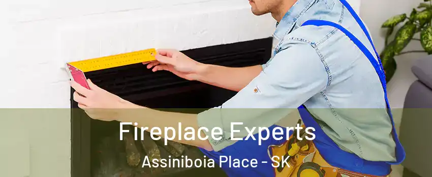 Fireplace Experts Assiniboia Place - SK