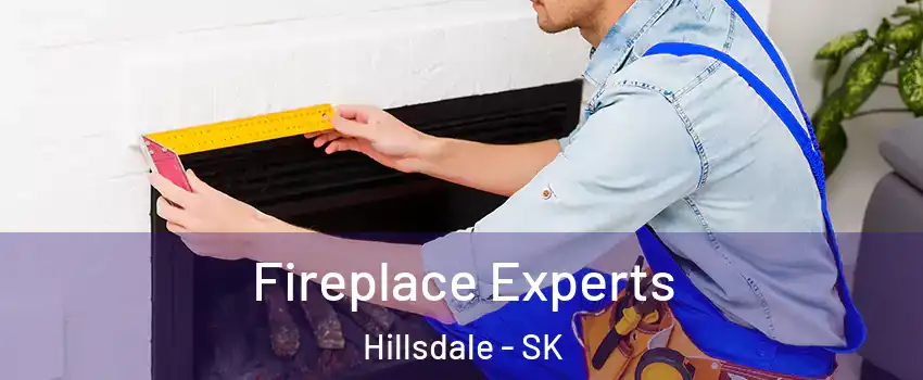  Fireplace Experts Hillsdale - SK