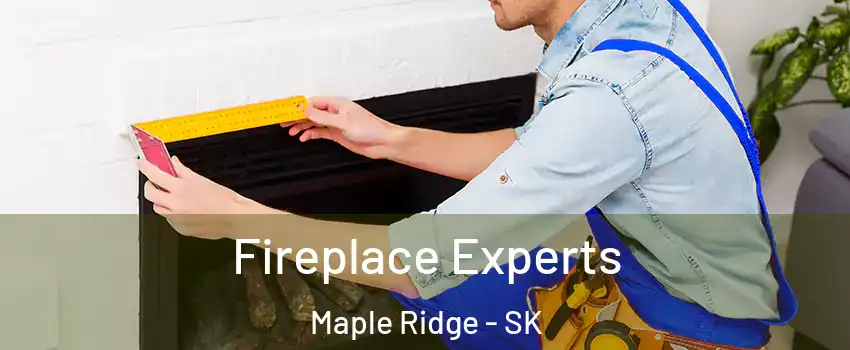  Fireplace Experts Maple Ridge - SK