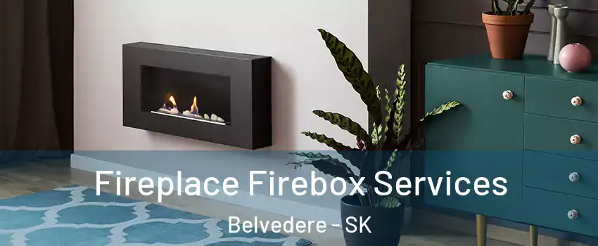  Fireplace Firebox Services Belvedere - SK