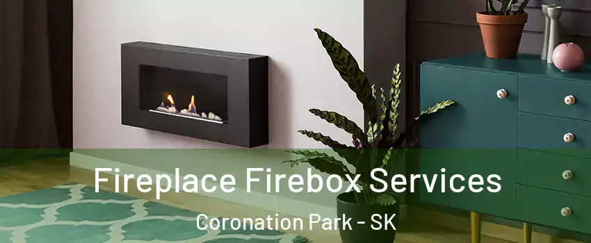  Fireplace Firebox Services Coronation Park - SK