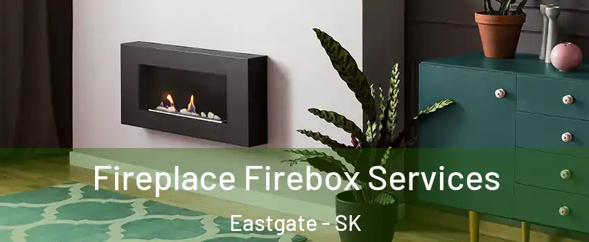  Fireplace Firebox Services Eastgate - SK