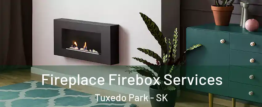  Fireplace Firebox Services Tuxedo Park - SK