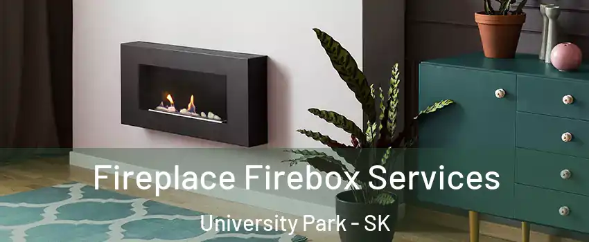  Fireplace Firebox Services University Park - SK