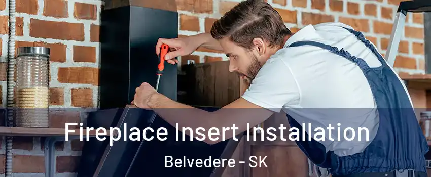  Fireplace Insert Installation Belvedere - SK