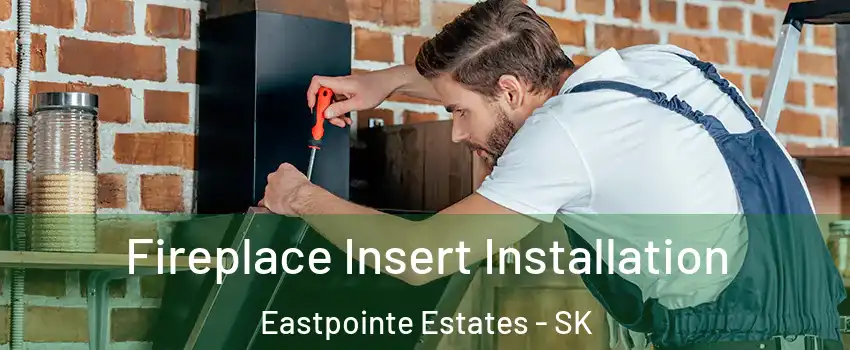  Fireplace Insert Installation Eastpointe Estates - SK