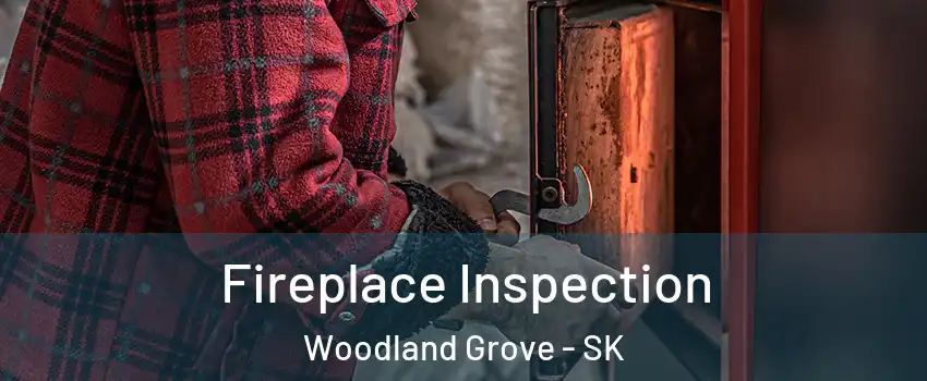  Fireplace Inspection Woodland Grove - SK