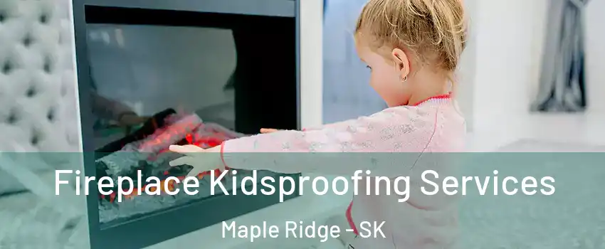  Fireplace Kidsproofing Services Maple Ridge - SK