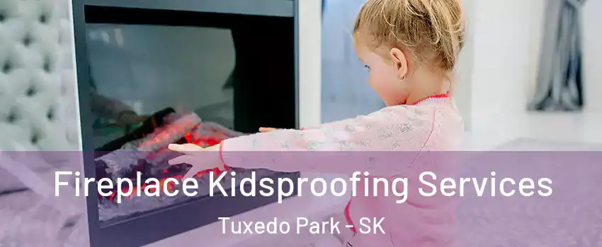  Fireplace Kidsproofing Services Tuxedo Park - SK