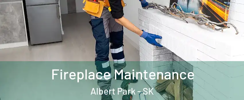  Fireplace Maintenance Albert Park - SK