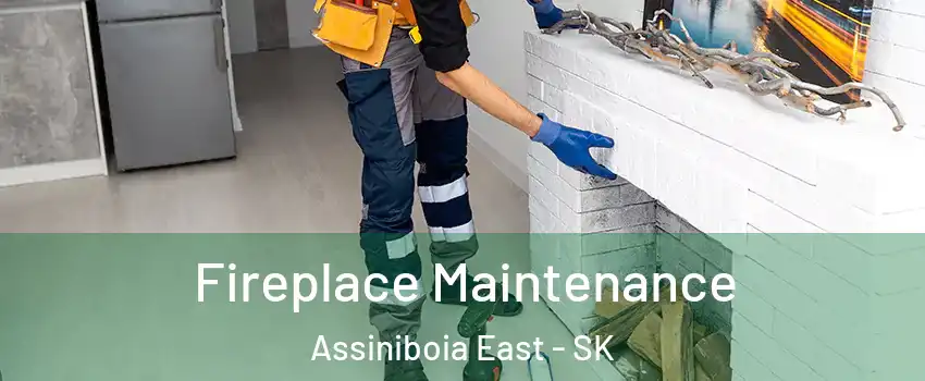  Fireplace Maintenance Assiniboia East - SK