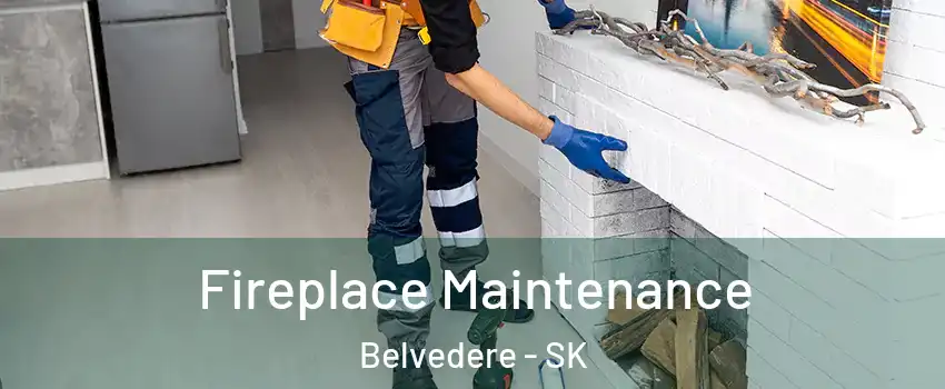 Fireplace Maintenance Belvedere - SK
