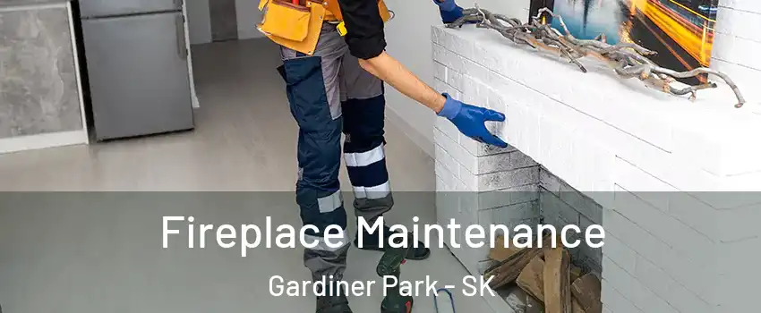  Fireplace Maintenance Gardiner Park - SK