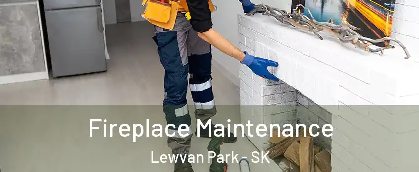  Fireplace Maintenance Lewvan Park - SK