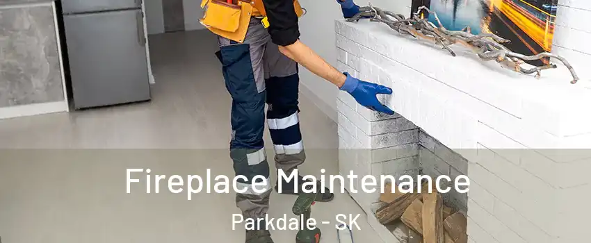  Fireplace Maintenance Parkdale - SK