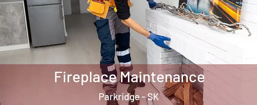  Fireplace Maintenance Parkridge - SK