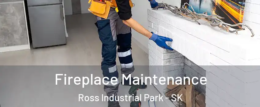  Fireplace Maintenance Ross Industrial Park - SK