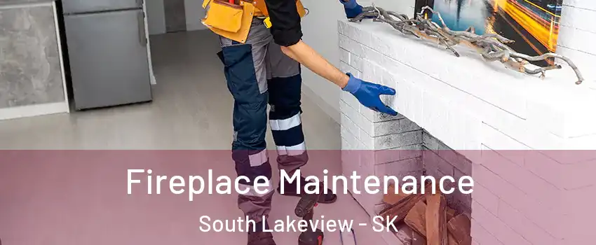  Fireplace Maintenance South Lakeview - SK