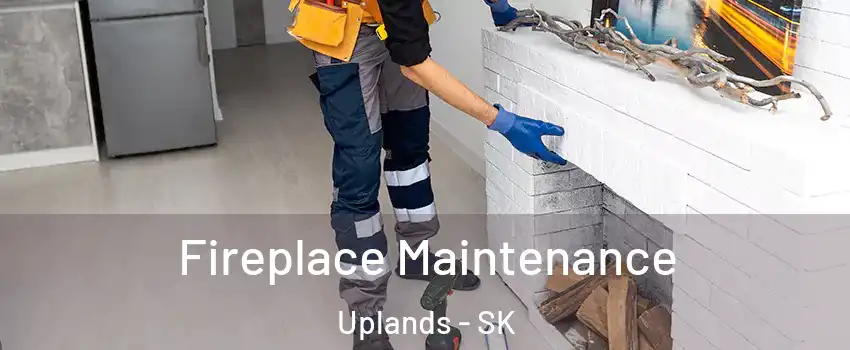  Fireplace Maintenance Uplands - SK