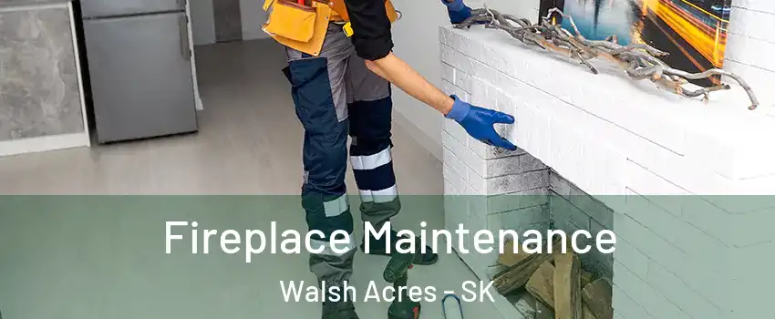  Fireplace Maintenance Walsh Acres - SK