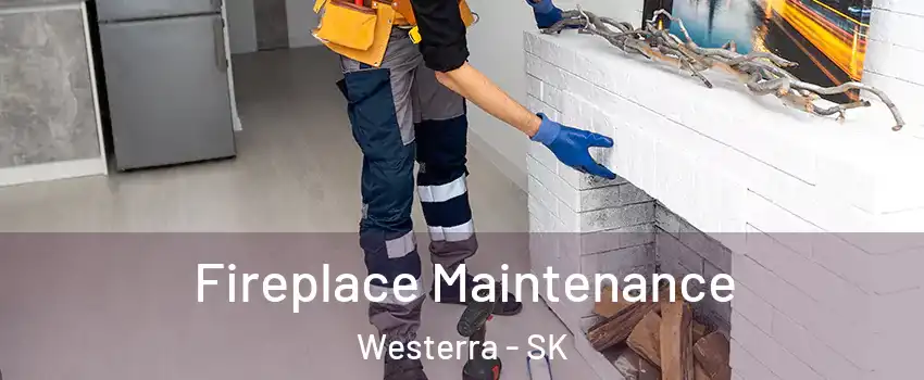  Fireplace Maintenance Westerra - SK