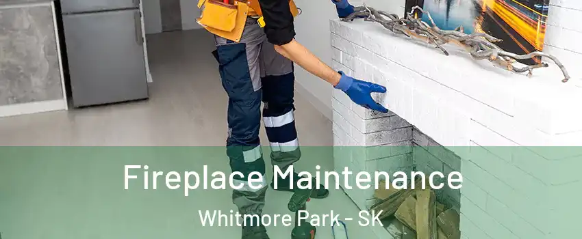  Fireplace Maintenance Whitmore Park - SK