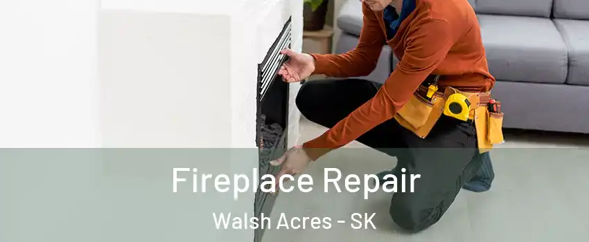  Fireplace Repair Walsh Acres - SK