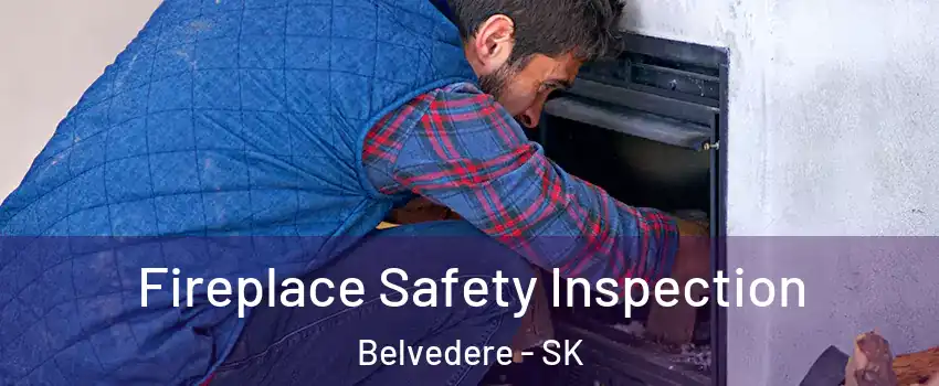 Fireplace Safety Inspection Belvedere - SK
