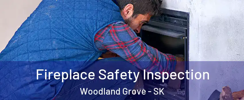 Fireplace Safety Inspection Woodland Grove - SK