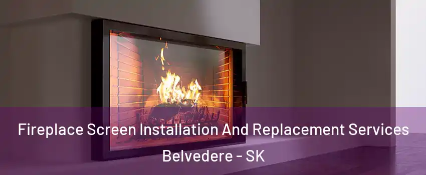 Fireplace Screen Installation And Replacement Services Belvedere - SK