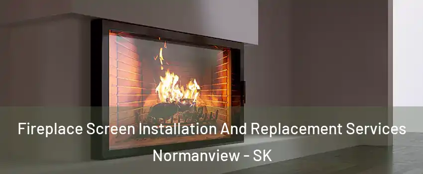 Fireplace Screen Installation And Replacement Services Normanview - SK