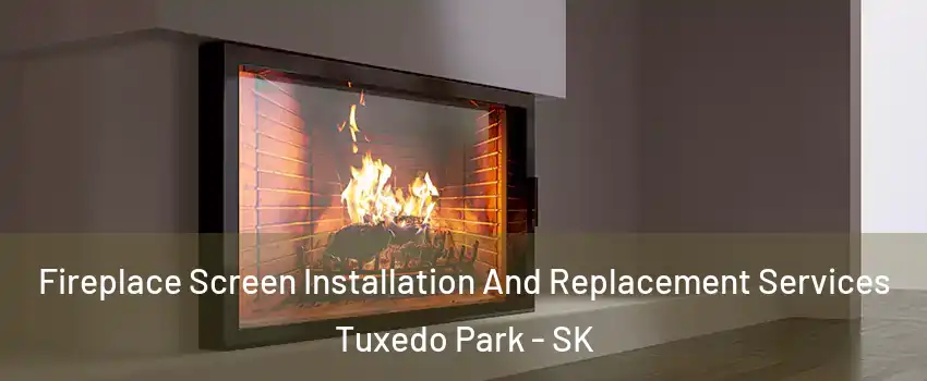 Fireplace Screen Installation And Replacement Services Tuxedo Park - SK