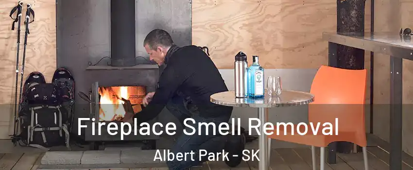  Fireplace Smell Removal Albert Park - SK