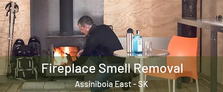  Fireplace Smell Removal Assiniboia East - SK