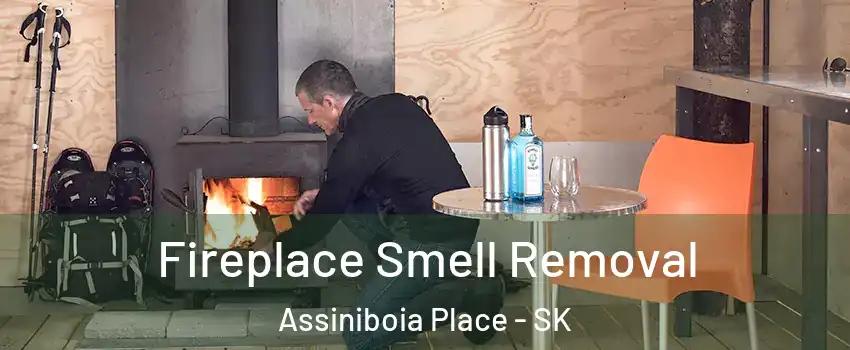  Fireplace Smell Removal Assiniboia Place - SK