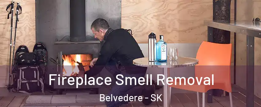  Fireplace Smell Removal Belvedere - SK