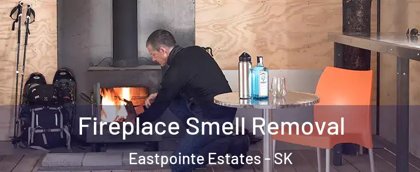  Fireplace Smell Removal Eastpointe Estates - SK